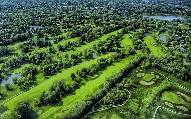 green golf course, trees, view from the top, beautifully, HD wallpaper