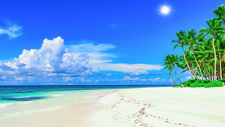 océano, vacaciones, fiesta, verano, nube, azul, sol, horizonte, palmera, cielo, durante el día, orilla, caribe, cielo azul, naturaleza, mar, zona tropical, Fondo de pantalla HD