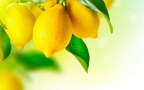Zitronen, Obst, HD-Hintergrundbild HD wallpaper