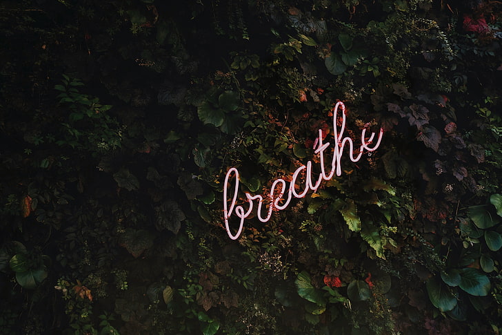 różowy neon Breathe, napis, motywacja, litery, Tapety HD