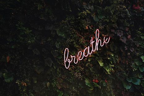 pink Breathe neon signage, inscription, motivation, letters, HD wallpaper HD wallpaper