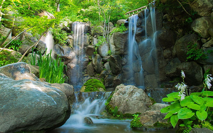 Nature, 2560x1600, tree, Forest, waterfa, Waterfall Live Wallpape,  Waterfall Hd, HD wallpaper | Wallpaperbetter