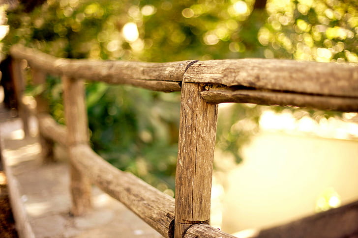 Wooden fence, wooden fence, bokeh, trees, herbs, wood, fence, HD wallpaper