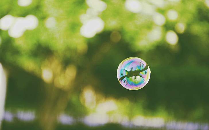Blasen, Grün, Natur, HD-Hintergrundbild