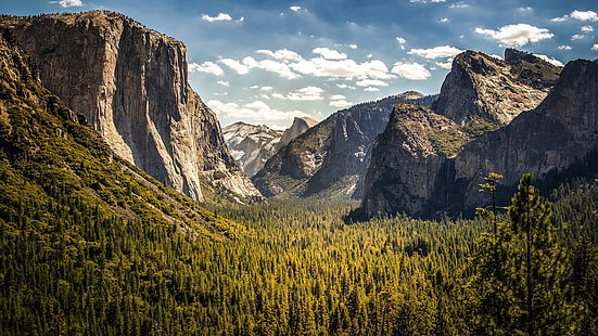árboles de hoja verde, naturaleza, paisaje, árboles, montañas, nubes, cielo, valle, acantilado, Estados Unidos, Wyoming, parque nacional, bosque, Parque Nacional de Yosemite, Fondo de pantalla HD HD wallpaper