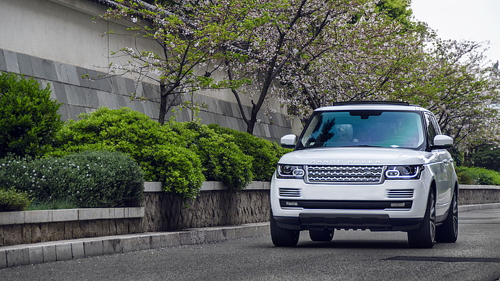 white Land Rover SUV, range rover, white, suv, car, HD wallpaper