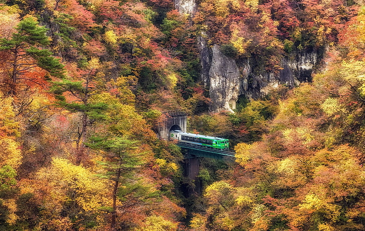 green train, landscape, fall, nature, HDR, HD wallpaper