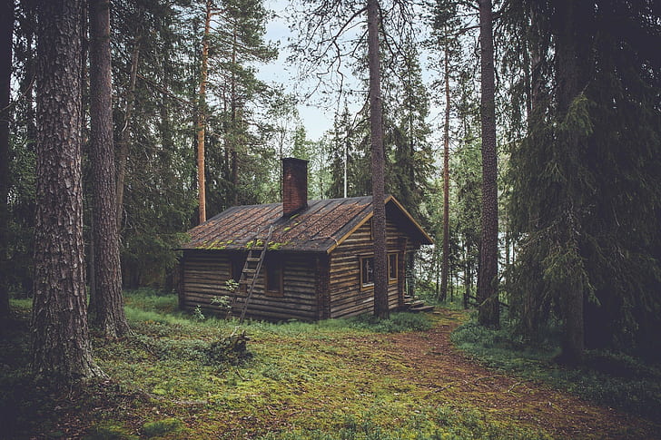 fall, landscape, trees, sauna, hut, cabin, nature, HD wallpaper