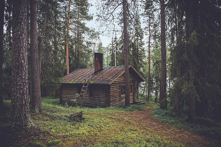 brązowy dom drewniany, chata otoczona drzewami leśnymi, krajobraz, przyroda, drzewa, wodospad, chata, sauna, chata, Tapety HD