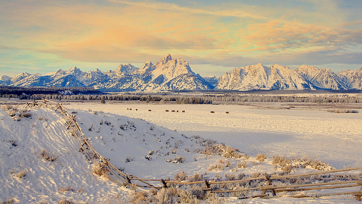 Oxbow Bend in Winter, Wyoming, Winter, HD wallpaper