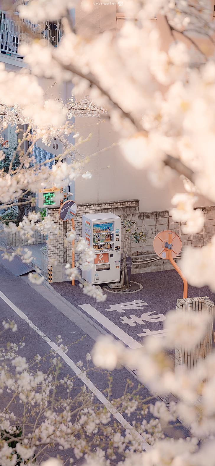 Sakura Airi, automat sprzedający, Japonia, pionowy, Tapety HD, tapety na telefon