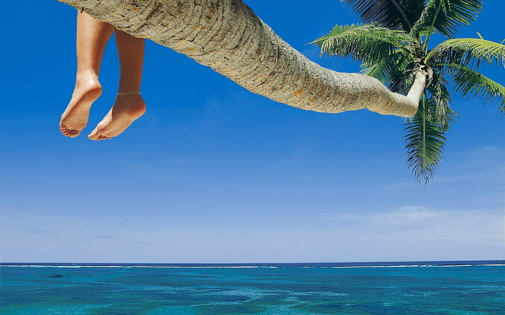 кокосовая пальма, пляж, ступни, HD обои