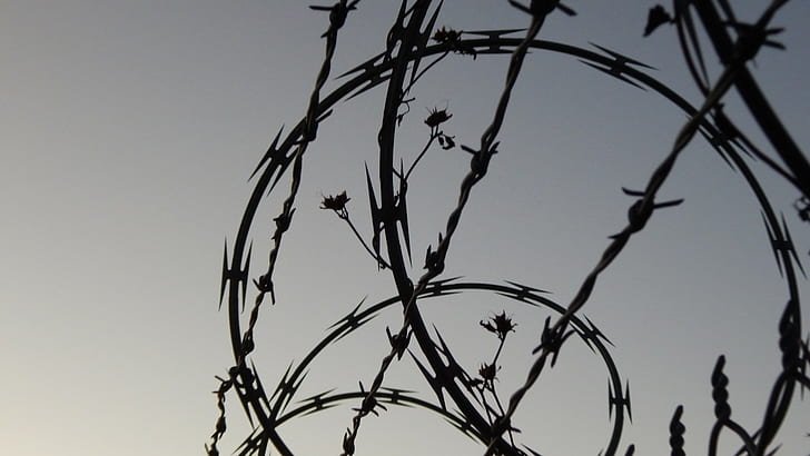 barbed wire, HD wallpaper