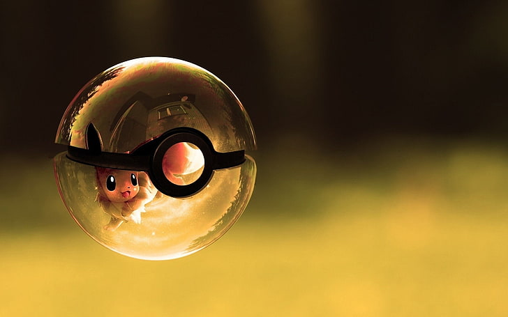 clear and black Pokemon Pokeball, Pokémon, HD wallpaper
