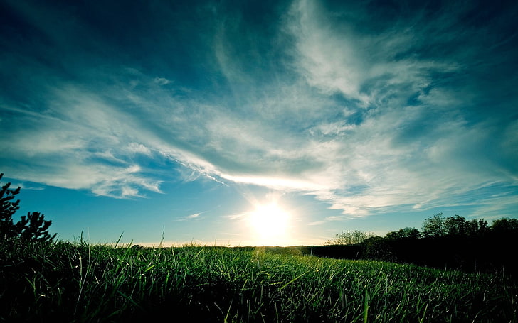 grassfield verde, prado, grama, nuvens, céu, verdes, gramado, HD papel de parede