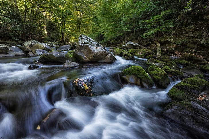 hutan, sungai, batu, lumut, ambang, Tennessee, Tn, Wallpaper HD