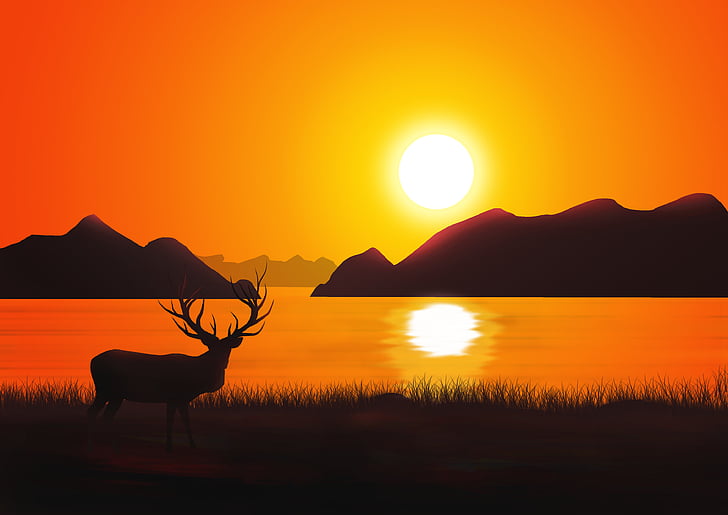 Sunset, Deer, Mountains, Silhouette, 4K, HD wallpaper