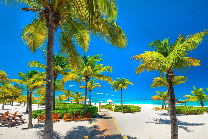 nature landscape tropical beach palm trees sea caribbean walkway white sand chair blue sky turks amp caicos, HD wallpaper
