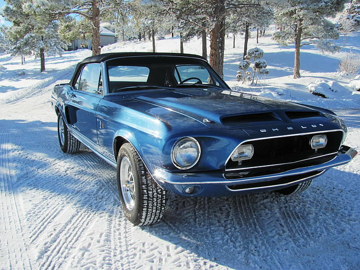 Ford, Shelby Cobra GT500 King Of The Road, Blue Car, Car, Muscle Car, Snow, HD wallpaper