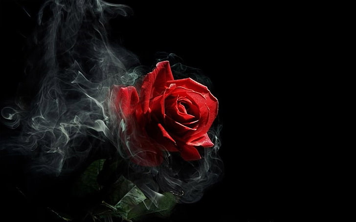 beautiful, black, dark, fantasy, gothic, red, rose, smoking, HD wallpaper