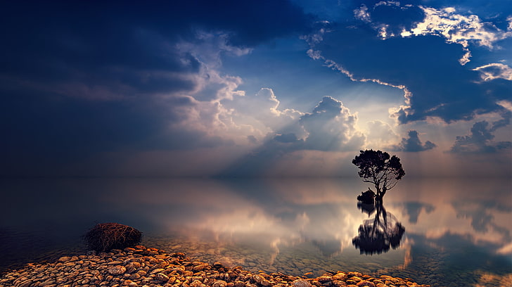 body of water, sky, clouds, water, nature, sea, horizon, calm waters, sun rays, blue, reflection, trees, HD wallpaper