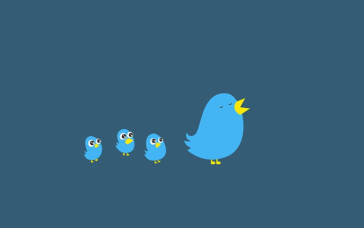 uccelli, logo, becco, twitter, Sfondo HD