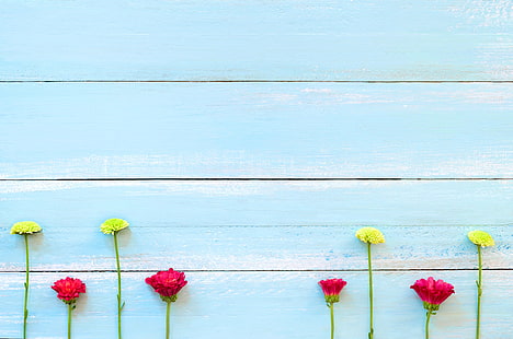 flores, fundo, árvore, conselho, colorido, crisântemo, madeira, textura, azul, de madeira, HD papel de parede HD wallpaper