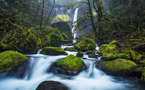 Elowah Falls dans l'Oregon Columbia River Gorge dans le comté de l'Oregon aux États-Unis 4k Ultra Hd Tv Wallpaper pour ordinateur portable de bureau et téléphones portables 3840 × 2400, Fond d'écran HD HD wallpaper