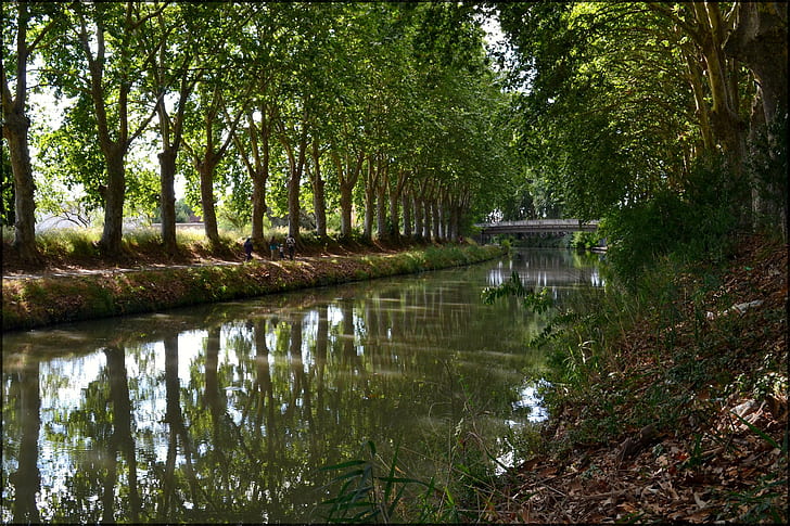 Une promenade au bord de la rivière, marche, reflets, arbres, rivières, nature, ponts, nature et paysages, Fond d'écran HD