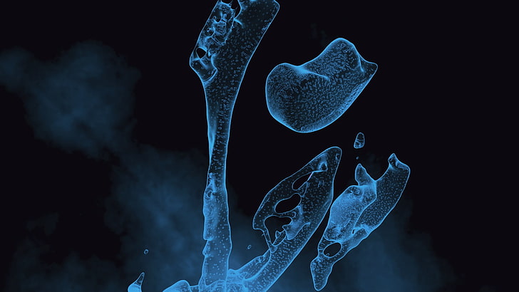 microscopic bone, blue, HD wallpaper