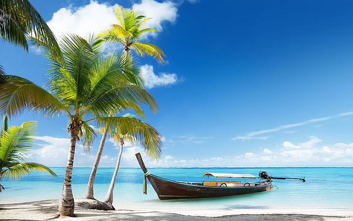 кафява дървена лодка, лодка, плаж, пясък, палмово дърво, HD тапет