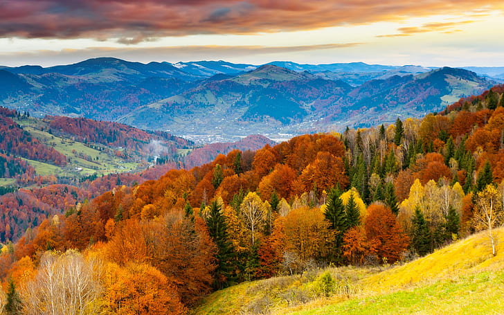 Sunset, autumn mountains, beautiful trees, field, skyline, Sunset, Autumn, Mountains, Beautiful, Trees, Field, Skyline, HD wallpaper
