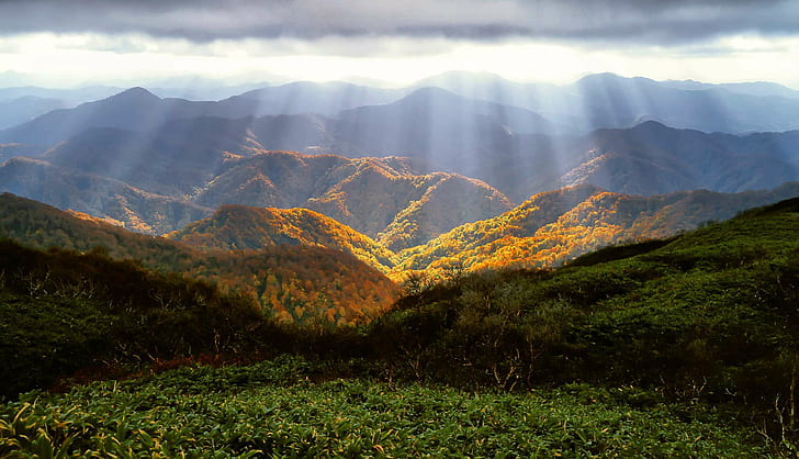 musim gugur, daun musim gugur, hutan beech, jepang, kilau, pegunungan, oktober, shirakami sanchi, warisan alam dunia, Wallpaper HD