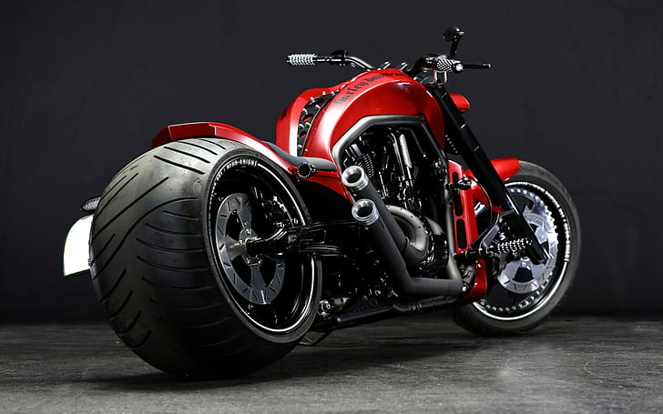 Motocicleta, motocicletas, 2560x1600, Harley Davidson, HD Motrs, 4K, Fondo de pantalla HD