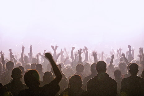 мъжки черен връх, концерти, музика, тълпи, хора, HD тапет HD wallpaper