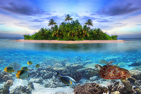 fish, island, life, maldives, marine, ocean, sea, tropical, underwater, HD wallpaper HD wallpaper