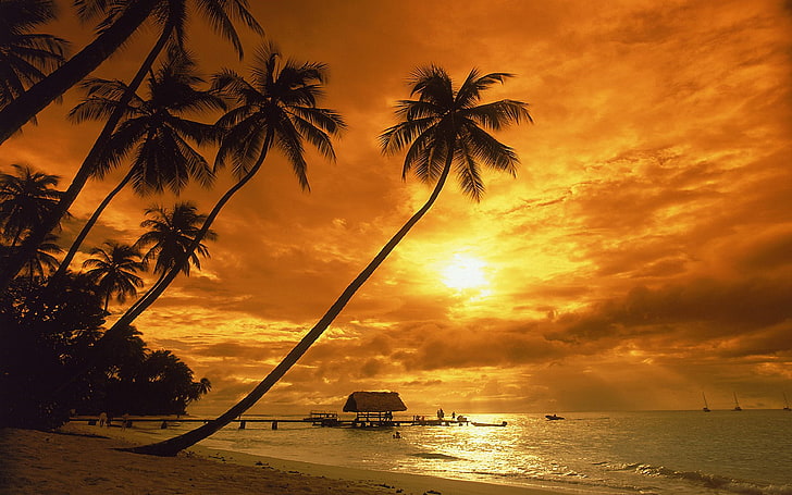 Kostaryka Zachód słońca Czerwone niebo Piaszczysta plaża Palm Hd Tapeta na pulpit wysokiej jakości rozdzielczość 3840 × 2400, Tapety HD