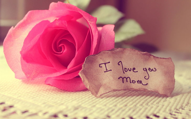 I Love You Mom !, pink ros, Festivals / Holidays, Wallpaper HD