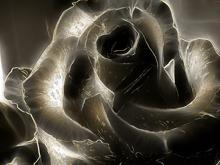 Black Rose, picture, black, alluring, background, contrasts, flowers, artistic, photoshop, bewitching, pistils, HD wallpaper