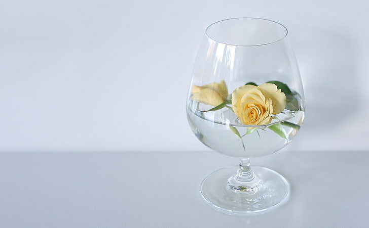 Glass Of Roses, Aero, White, Flower, Yellow, Rose, Glass, Deco, transience, HD wallpaper