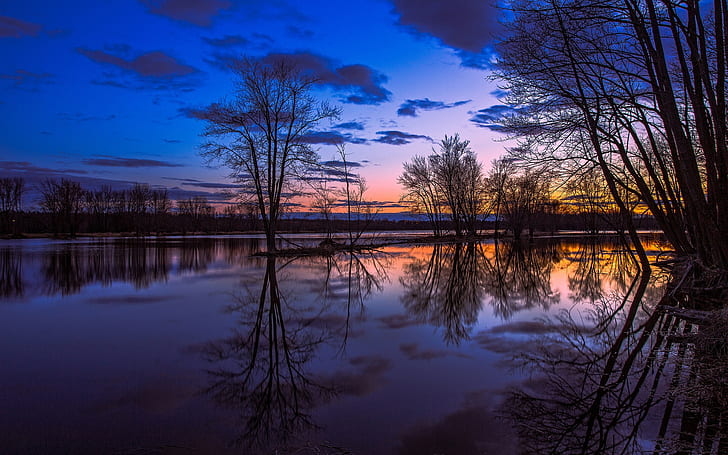 Canada Ontario, lago riflesso, alberi, tramonto, splendido scenario, Canada, Ontario, lago, riflesso, alberi, tramonto, bello, scenario, Sfondo HD
