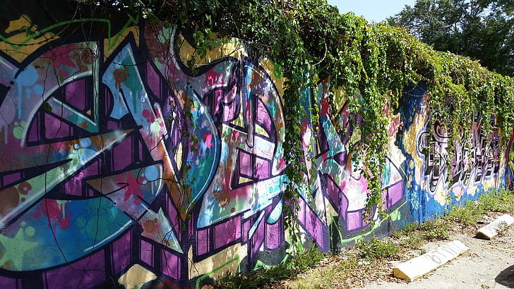 紫、緑、赤の花のテキスタイル、壁、落書き、カラフルなマイアミ、自然、 HDデスクトップの壁紙
