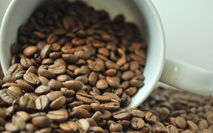 Coffee Beans Cup Mug, coffee seeds with white ceramic mug, coffee, beans, HD wallpaper