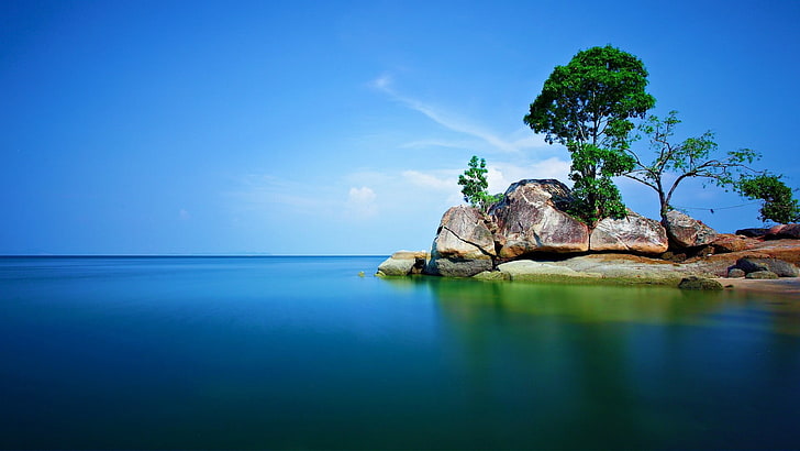 brown rock near seashore at day time, rock, trees, sea, nature, alone, landscape, HD wallpaper