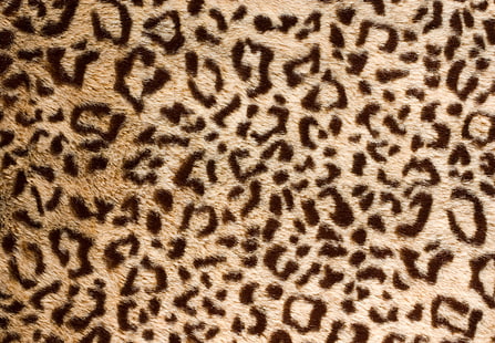 stampa leopardo marrone e nero, leopardo, pelle, pelliccia, Sfondo HD HD wallpaper