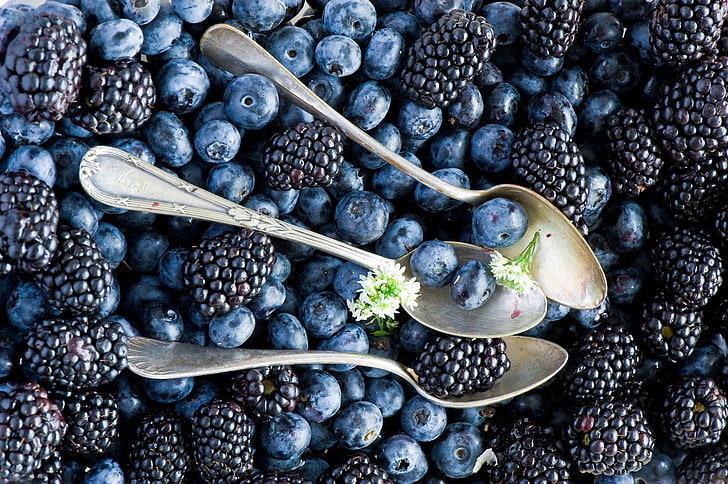 blueberries, food, spoons, berries, blackberries, fruit, HD wallpaper