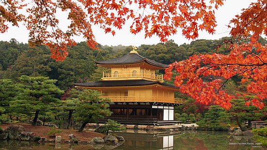 Paviliun Emas, Kyoto, Jepang, Asia, Wallpaper HD HD wallpaper