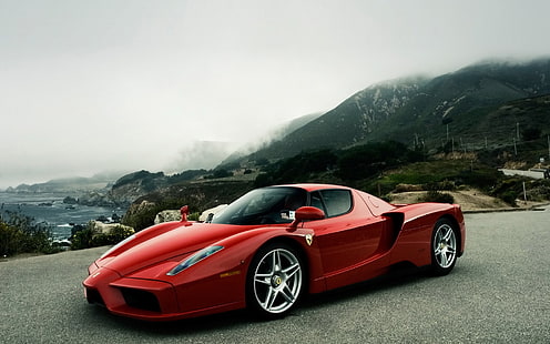 Ferrari Enzo, Ferrari Enzo, Fond d'écran HD HD wallpaper