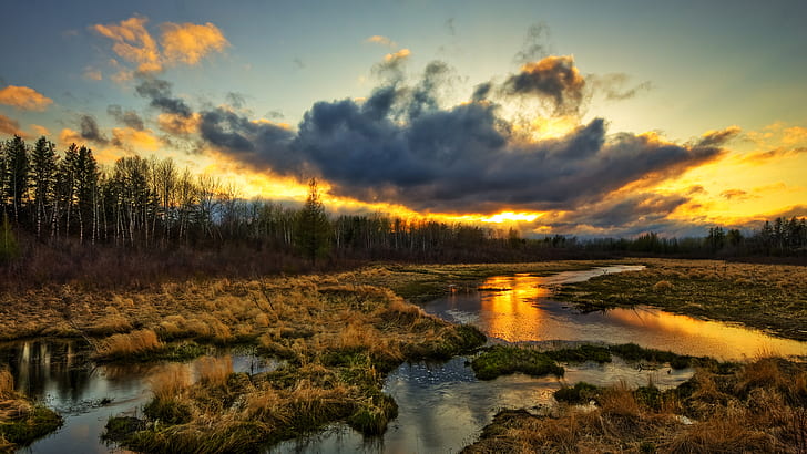 HDR Swamp Clouds Sunlight HD, nature, clouds, sunlight, hdr, swamp, HD wallpaper