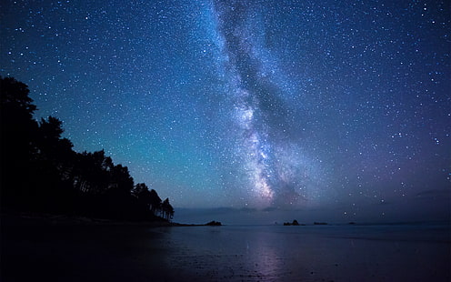 Sea Coast Night Sky Stars Milky Way, night, coast, stars, milky, dreamy and fantasy, HD wallpaper HD wallpaper
